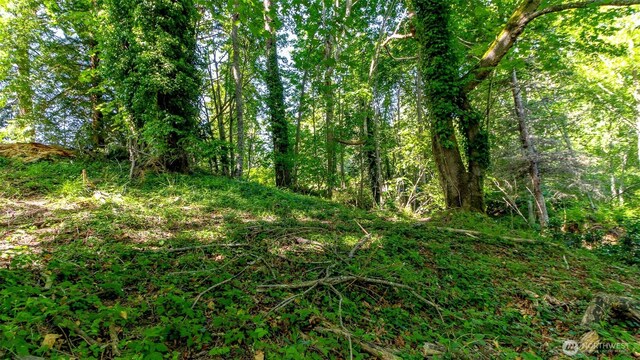 44 Raft Island Dr NW, Gig Harbor, WA 98335 - photo 25