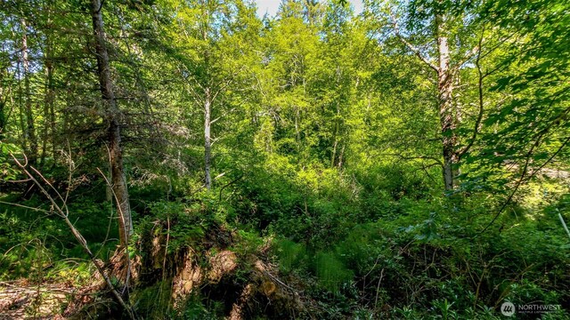 44 Raft Island Dr NW, Gig Harbor, WA 98335 - photo 26