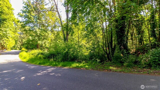 44 Raft Island Dr NW, Gig Harbor, WA 98335 - photo 33
