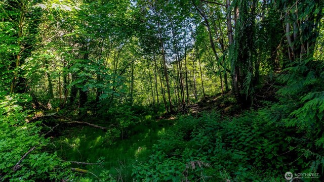 44 Raft Island Dr NW, Gig Harbor, WA 98335 - photo 36