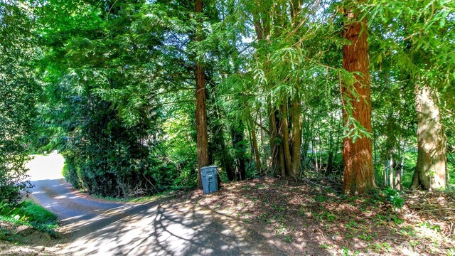 44 Raft Island Dr NW, Gig Harbor, WA 98335 - photo 37