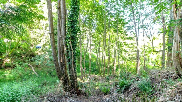 44 Raft Island Dr NW, Gig Harbor, WA 98335 - photo 39