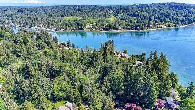 44 Raft Island Dr NW, Gig Harbor, WA 98335 - photo 1