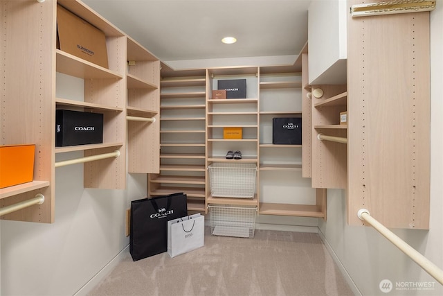 spacious closet featuring carpet flooring
