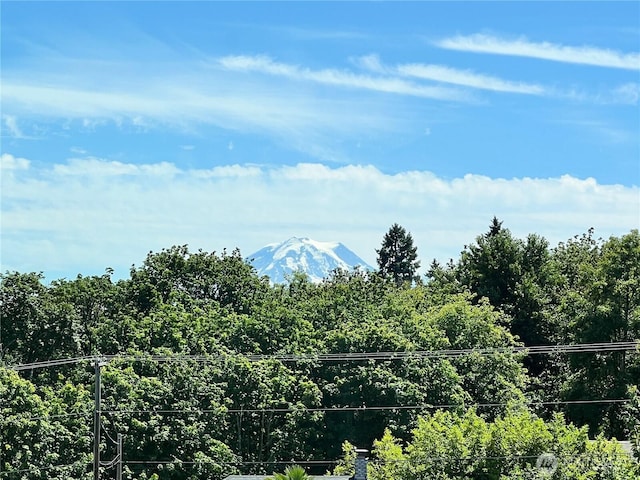 1723 26th Street Pl SW, Puyallup, WA 98371 - photo 9