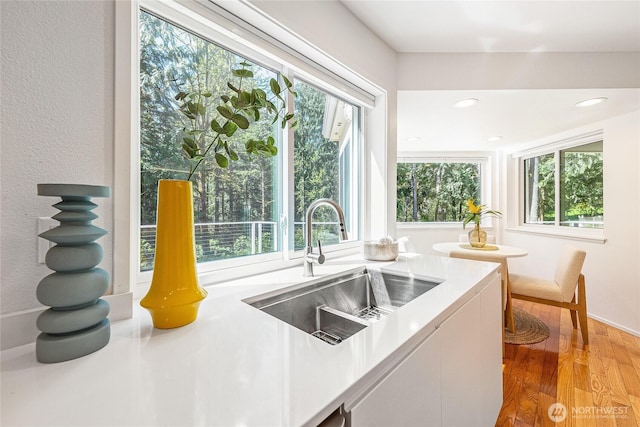 27923 NE 49th St, Redmond, WA 98053 - kitchen with a sink, healthy amount of natural light, light wood-style flooring, and white cabinets