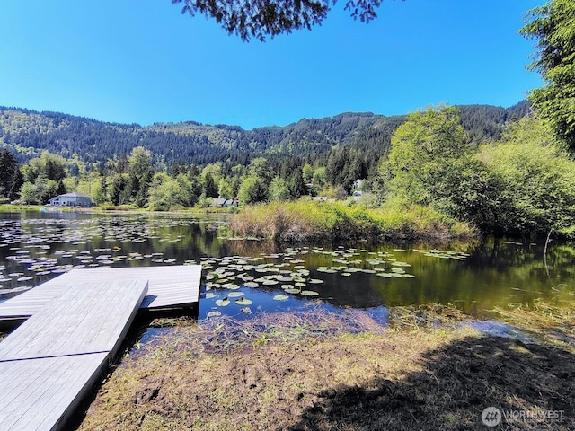 659 Cain Lake Rd, Sedro Woolley, WA 98284 - dock featuring a wooded view and a water and mountain view