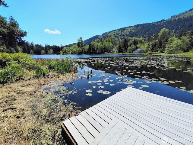 659 Cain Lake Rd, Sedro Woolley, WA 98284 - dock area with a view of trees and a water view