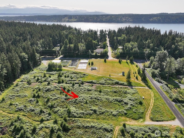 2062 Goodell Rd, Freeland, WA 98249 - photo 22