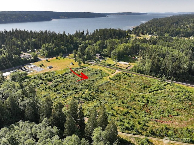 2062 Goodell Rd, Freeland, WA 98249 - photo 15