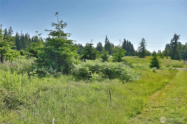 2062 Goodell Rd, Freeland, WA 98249 - photo 4