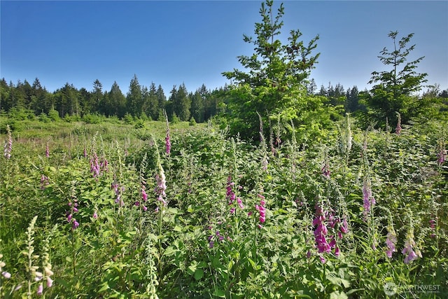 2062 Goodell Rd, Freeland, WA 98249 - photo 13