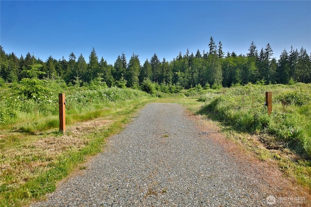 2062 Goodell Rd, Freeland, WA 98249 - photo 5