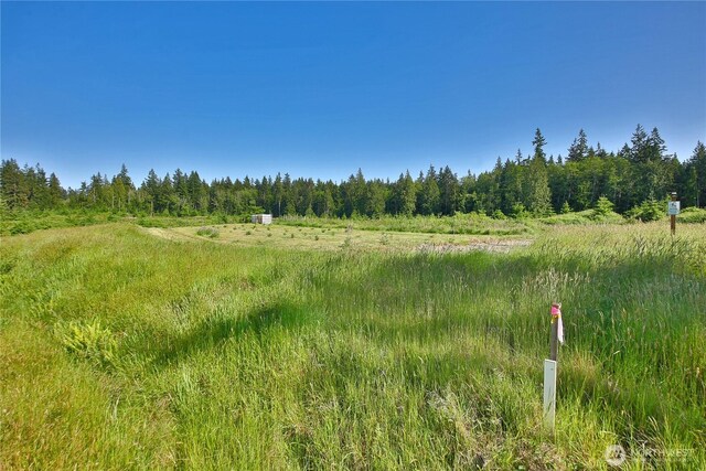 2062 Goodell Rd, Freeland, WA 98249 - photo 9