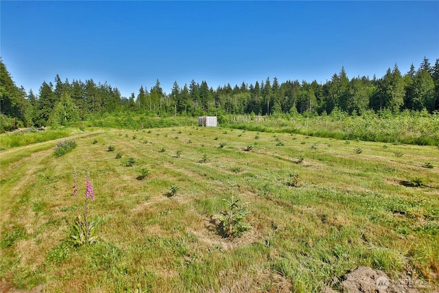 2062 Goodell Rd, Freeland, WA 98249 - photo 10