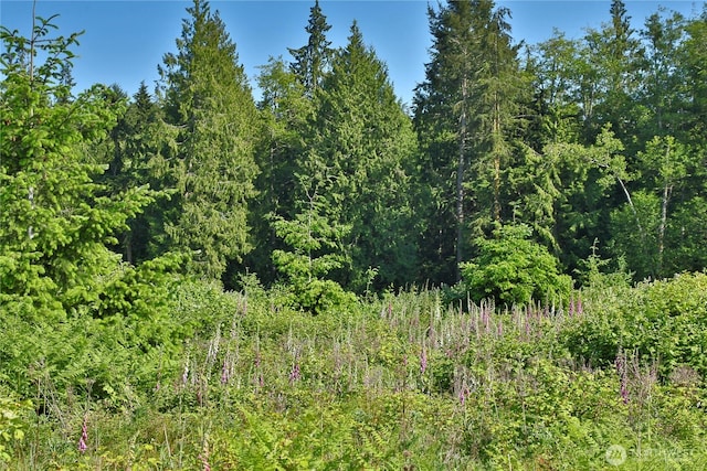 2062 Goodell Rd, Freeland, WA 98249 - photo 16
