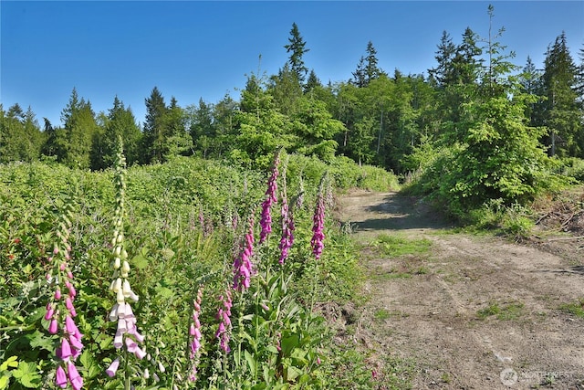 2062 Goodell Rd, Freeland, WA 98249 - photo 7