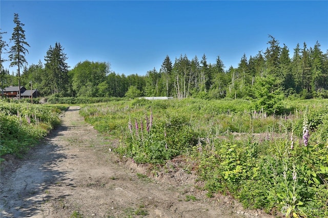 2062 Goodell Rd, Freeland, WA 98249 - photo 20
