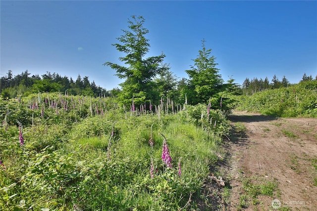 2062 Goodell Rd, Freeland, WA 98249 - photo 14