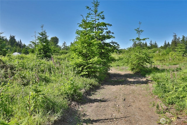 2062 Goodell Rd, Freeland, WA 98249 - photo 21