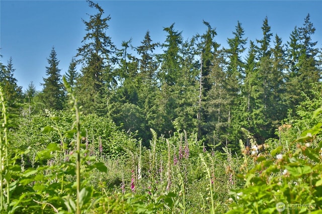 2062 Goodell Rd, Freeland, WA 98249 - photo 23
