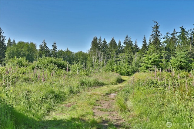 2062 Goodell Rd, Freeland, WA 98249 - photo 24