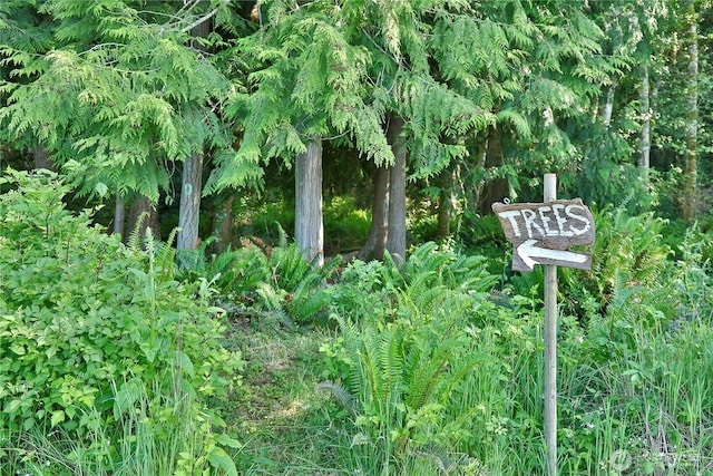 2062 Goodell Rd, Freeland, WA 98249 - photo 18