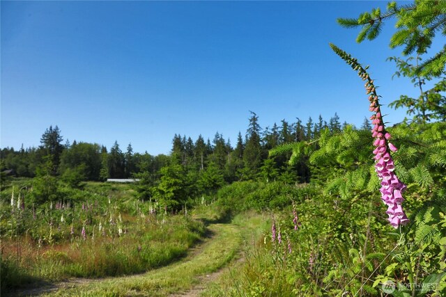 2062 Goodell Rd, Freeland, WA 98249 - photo 26