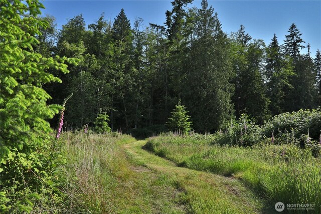 2062 Goodell Rd, Freeland, WA 98249 - photo 17