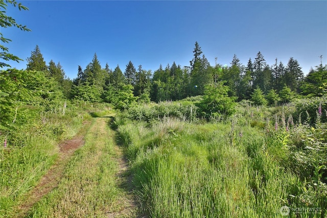 2062 Goodell Rd, Freeland, WA 98249 - photo 2