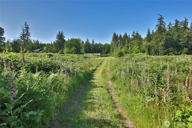 2062 Goodell Rd, Freeland, WA 98249 - photo 11