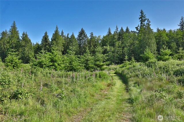 2062 Goodell Rd, Freeland, WA 98249 - photo 27