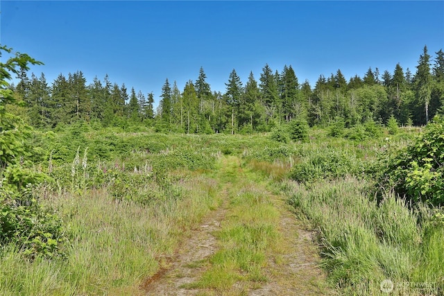2062 Goodell Rd, Freeland, WA 98249 - photo 28