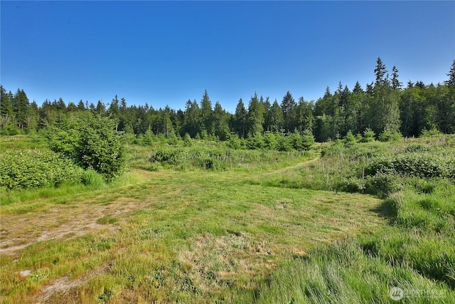 2062 Goodell Rd, Freeland, WA 98249 - photo 6