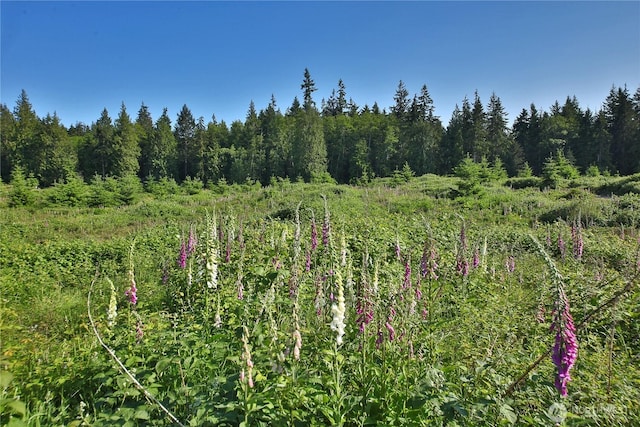 2062 Goodell Rd, Freeland, WA 98249 - photo 1