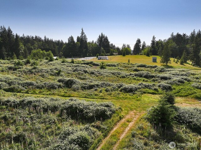 2062 Goodell Rd, Freeland, WA 98249 - photo 8