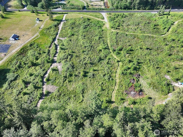 2062 Goodell Rd, Freeland, WA 98249 - photo 30