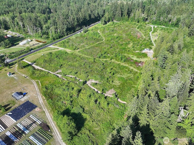 2062 Goodell Rd, Freeland, WA 98249 - photo 31