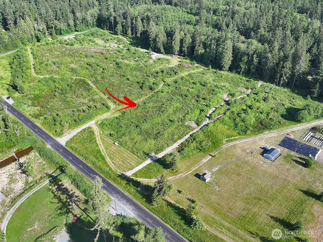 2062 Goodell Rd, Freeland, WA 98249 - photo 34
