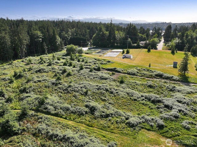 2062 Goodell Rd, Freeland, WA 98249 - photo 36