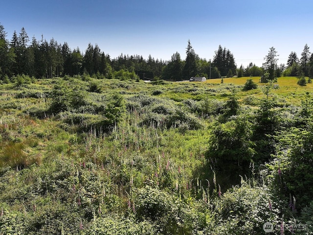2062 Goodell Rd, Freeland, WA 98249 - photo 37