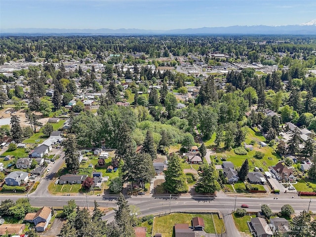 9819 Park Ave S, Tacoma, WA 98444 - view of property location featuring nearby suburban area and a mountain backdrop