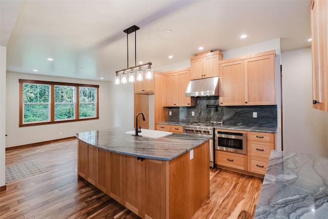 2075 NW Peterson Rd, Poulsbo, WA 98370 - kitchen with under cabinet range hood, a sink, appliances with stainless steel finishes, light wood-style flooring, and light brown cabinets