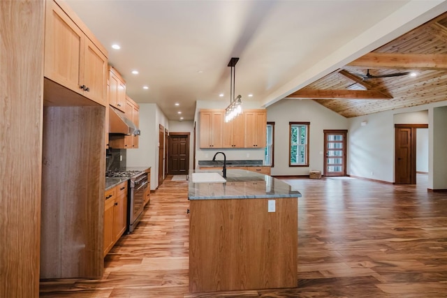 2075 NW Peterson Rd, Poulsbo, WA 98370 - kitchen with high end stainless steel range, under cabinet range hood, light wood-style flooring, a kitchen island with sink, and recessed lighting