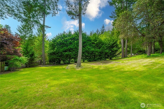 13014 97th Ave NW, Gig Harbor, WA 98329 - view of green lawn