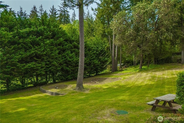 13014 97th Ave NW, Gig Harbor, WA 98329 - surrounding community featuring a lawn