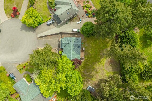13014 97th Ave NW, Gig Harbor, WA 98329 - bird's eye view