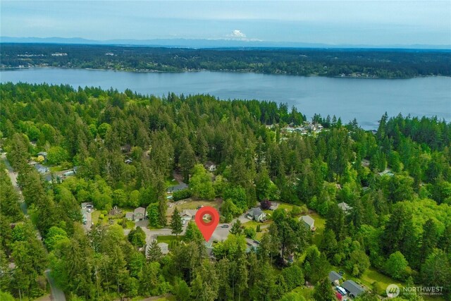 13014 97th Ave NW, Gig Harbor, WA 98329 - aerial view of a forest and a nearby body of water