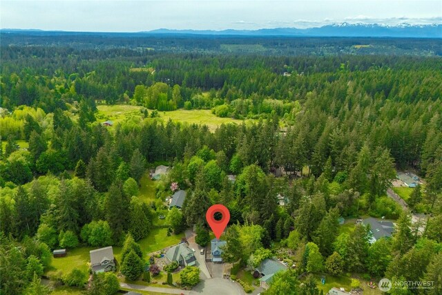 13014 97th Ave NW, Gig Harbor, WA 98329 - drone / aerial view of a heavily wooded area and a mountainous background