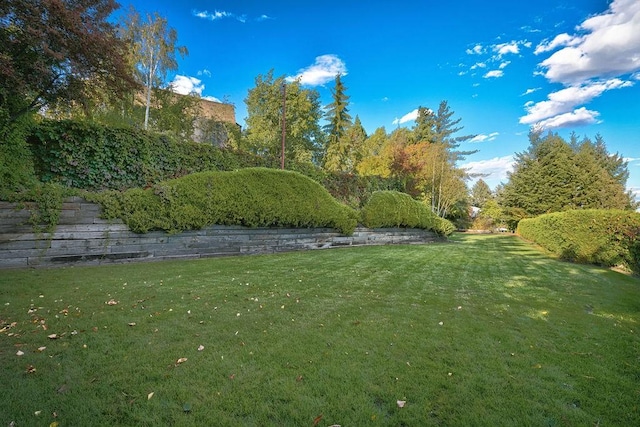 4706 Scenic Dr, Yakima, WA 98908 - view of grassy yard